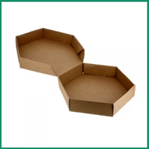 CAJA DE TORTILLA 25x25  P/100